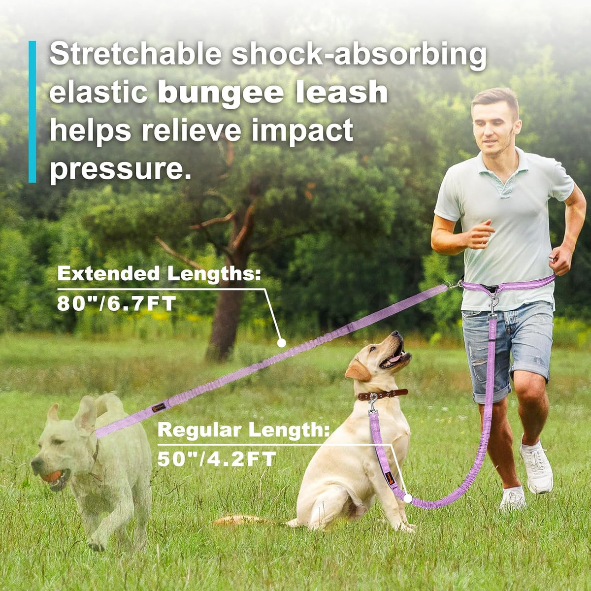 Hands Free Dog Leash,Adjustable Waist Leash for Dog,4.2-6.7 Feet
