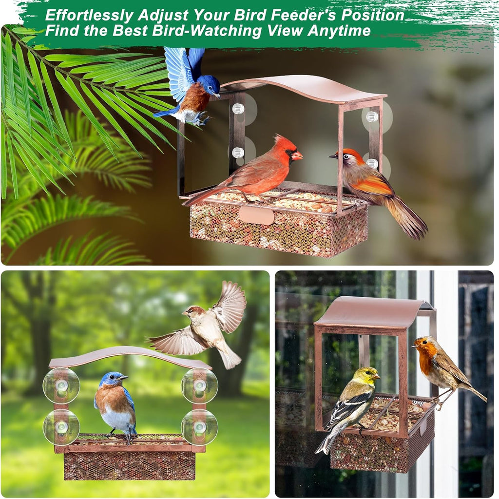 Window Bird Feeder with Strong Suction Cups