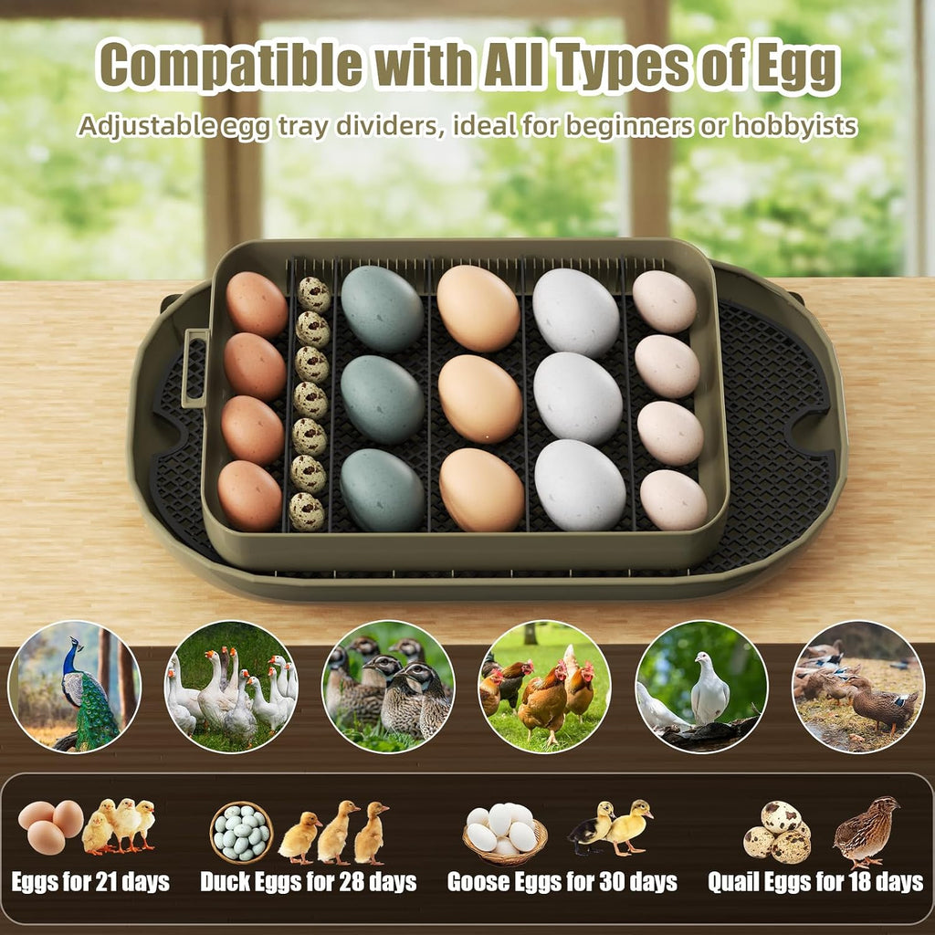 Incubator for Hatching Eggs, 24 Egg Incubator with Precise Temperature Control, Auto Egg Turner, 360° Clear View, LED