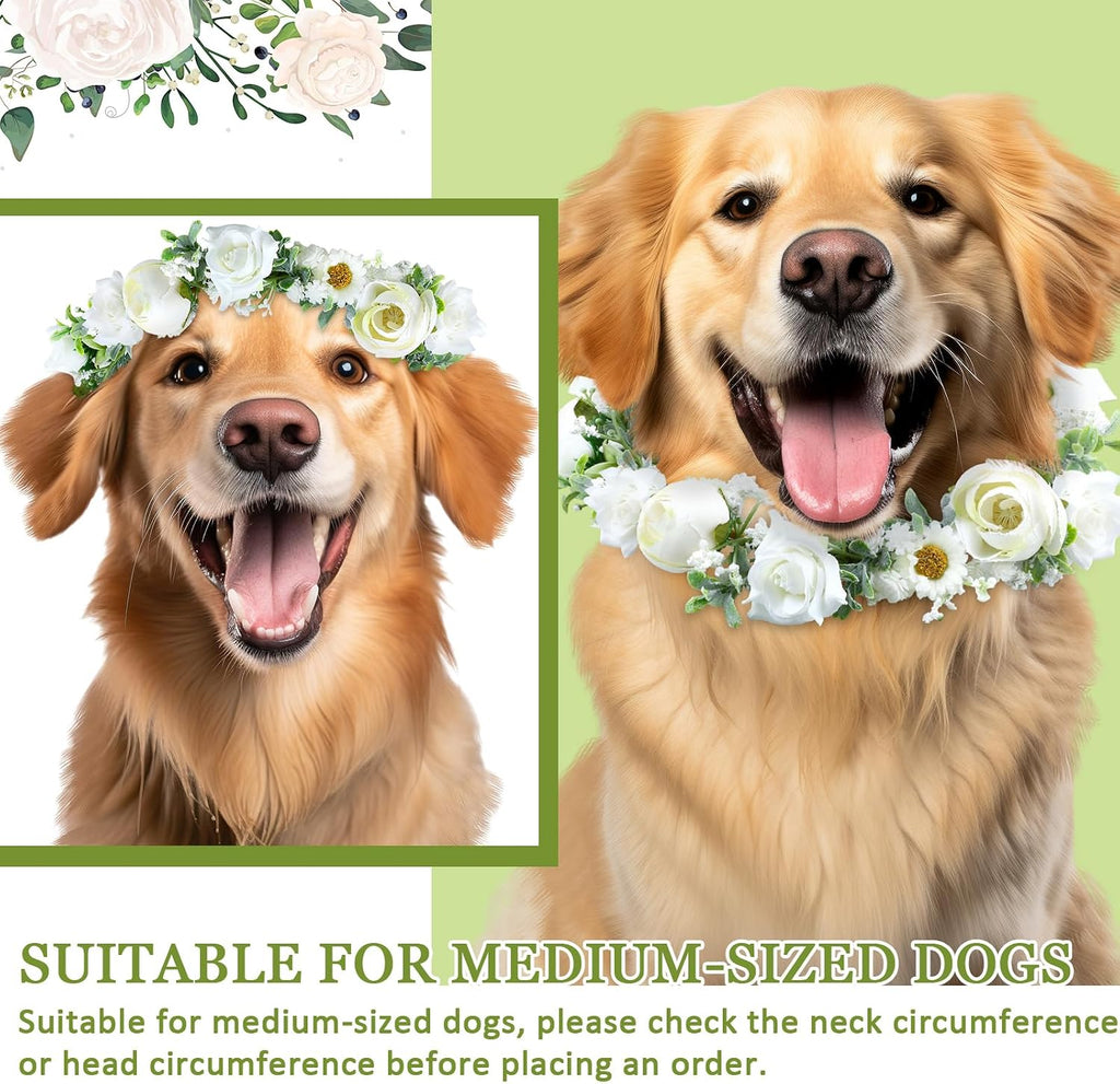 2 Pcs Dog Wedding Flower Collar and Pearl Leash, White,Medium
