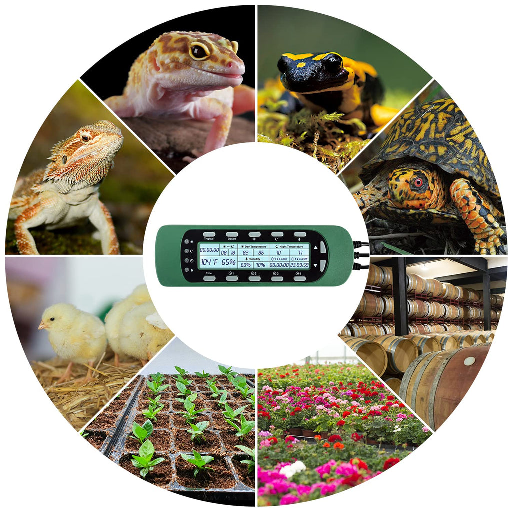 Reptile Digital Thermometer Hygrometer Controller for Tank Terrarium - Waterproof Reptile Timer with Thermostat