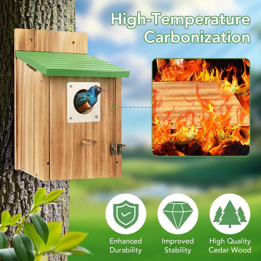 Fitroho Bird Houses for Outside - Natural Cedar Wood Bluebird Houses