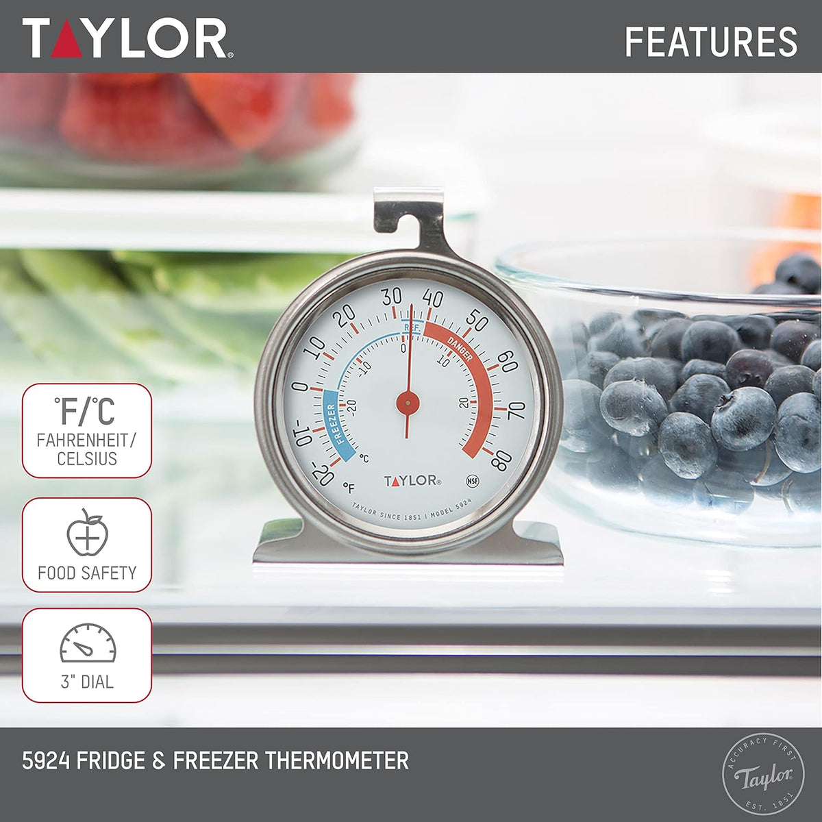Analog Refrigerator Freezer Thermometer