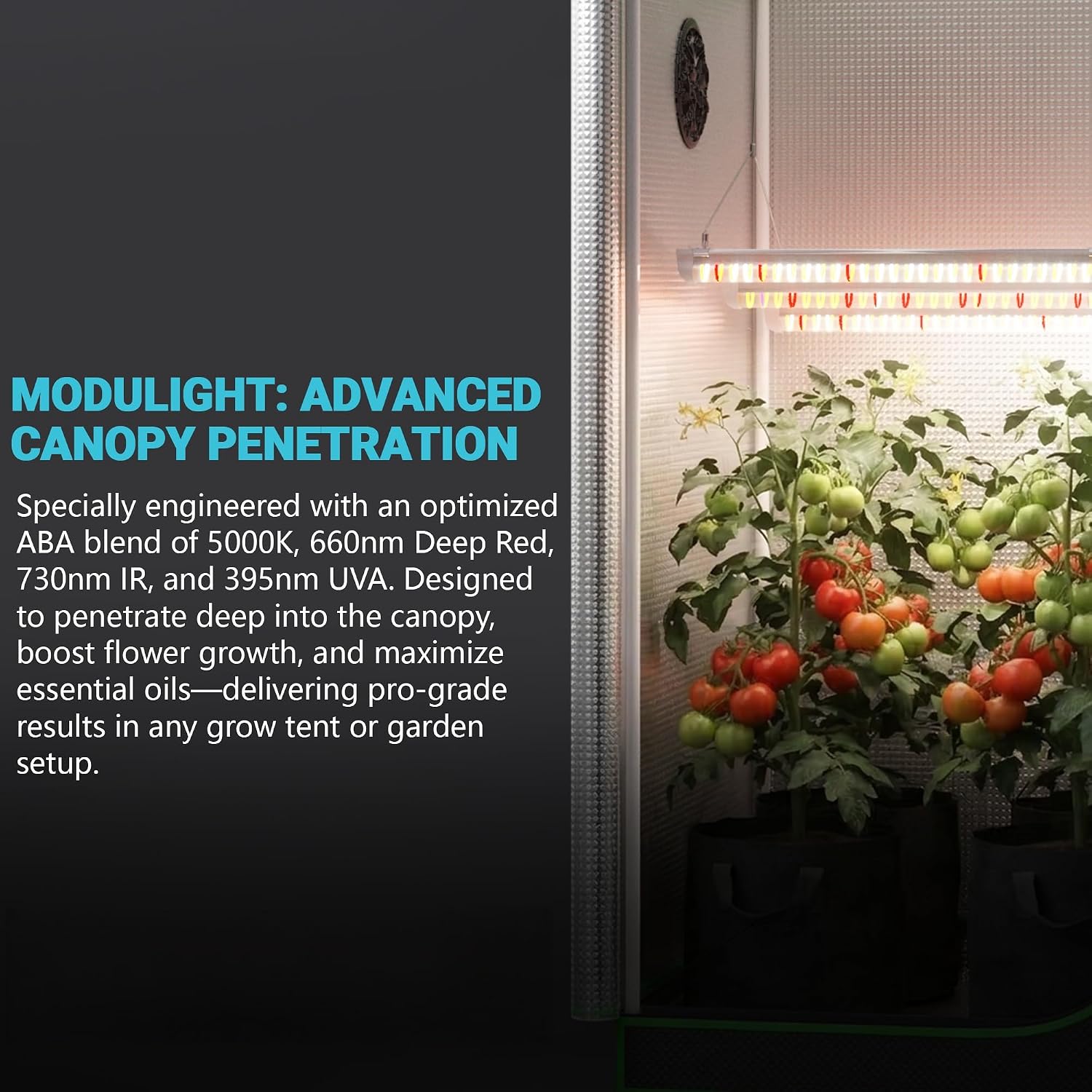2x2 Complete Grow Tent Kit, 24x24x48 Indoor Grow Tent with 33W ABA LED Grow Light Bars, Inline Duct Fan, Carbon