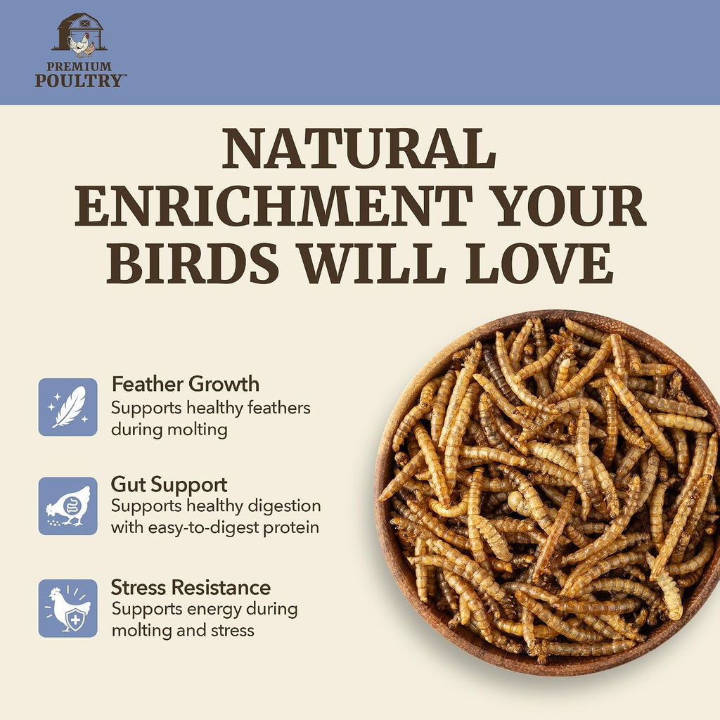 Mealworms for Chickens & All Birds, Non GMO & Organic, 5lb