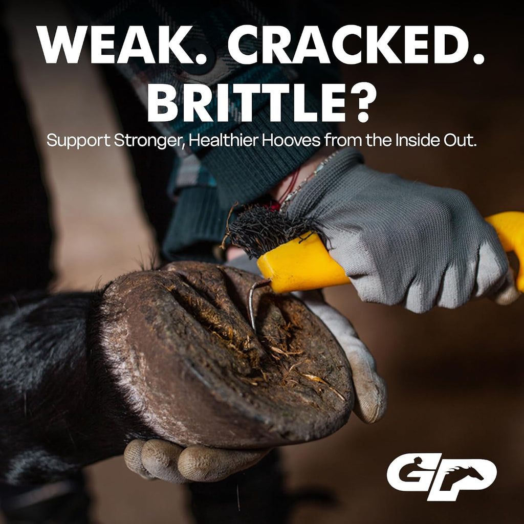 Hoof Supplement for Horses