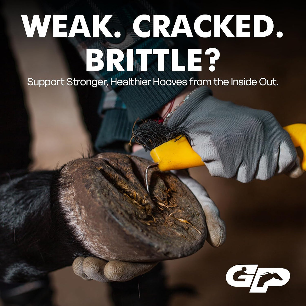 Hoof Supplement for Horses