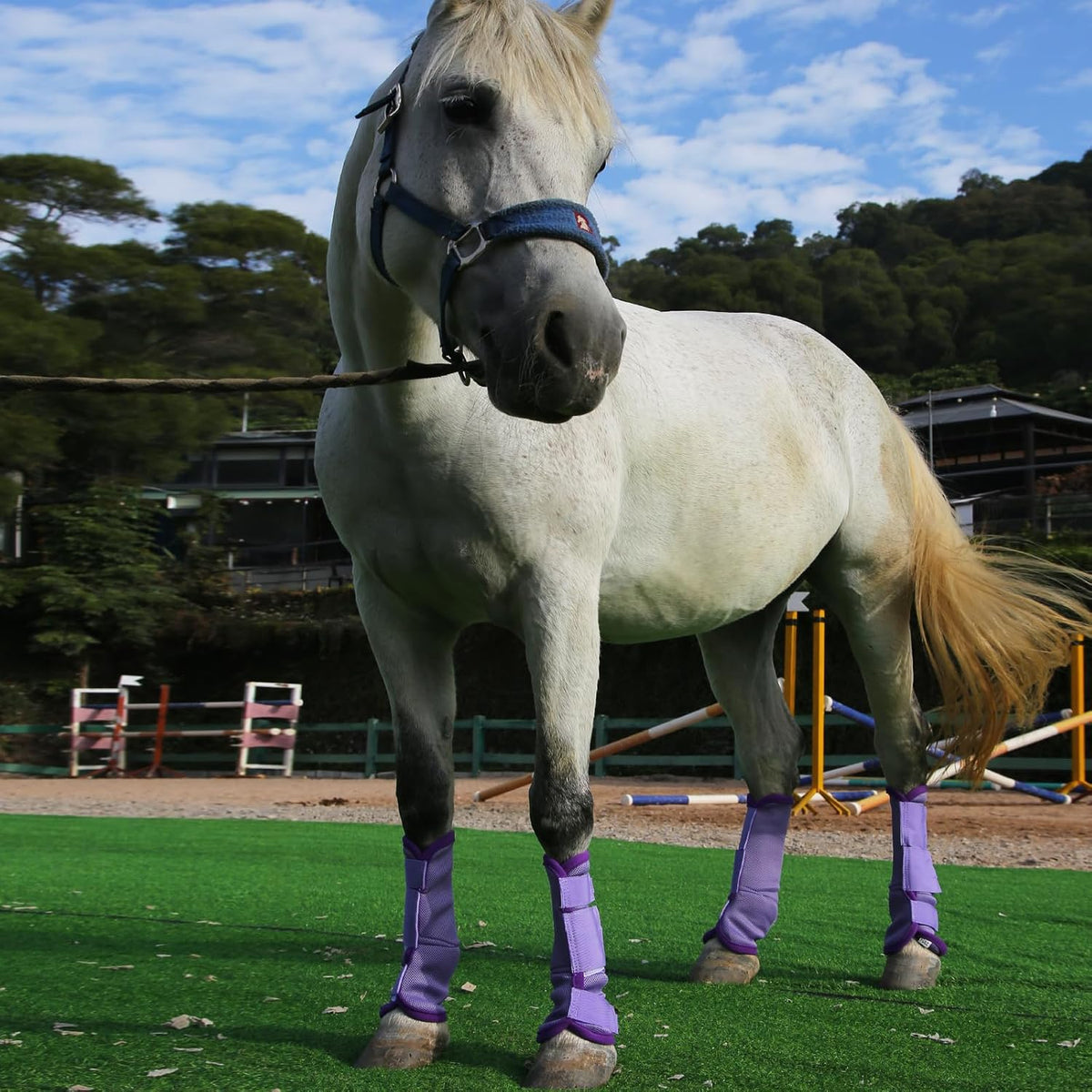 Horse Fly Boots Set of 4, Breathable Mesh Fly Boots for Horses