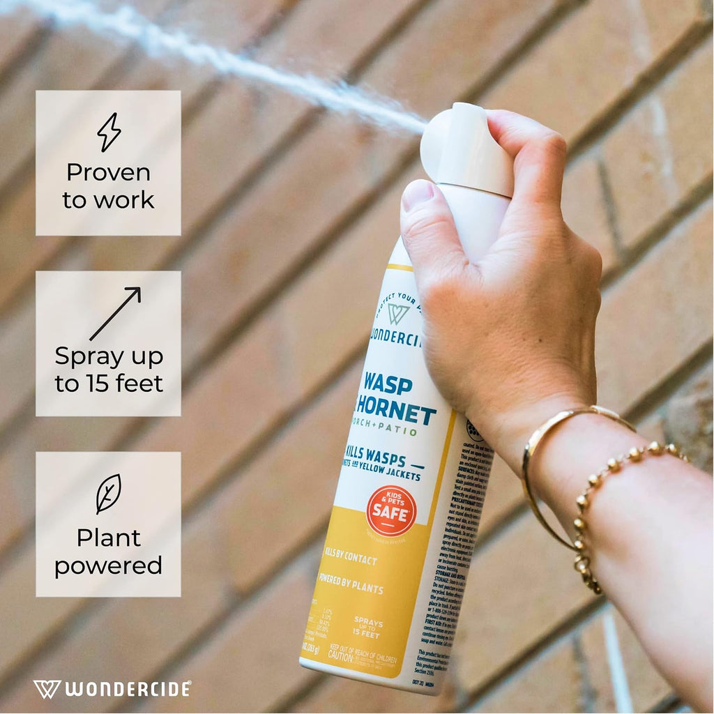 Wasp and Hornet Killer Aerosol Spray - 10 oz - 2 Pack | Kills Wasps, Hornets & Yellow Jackets - With Natural