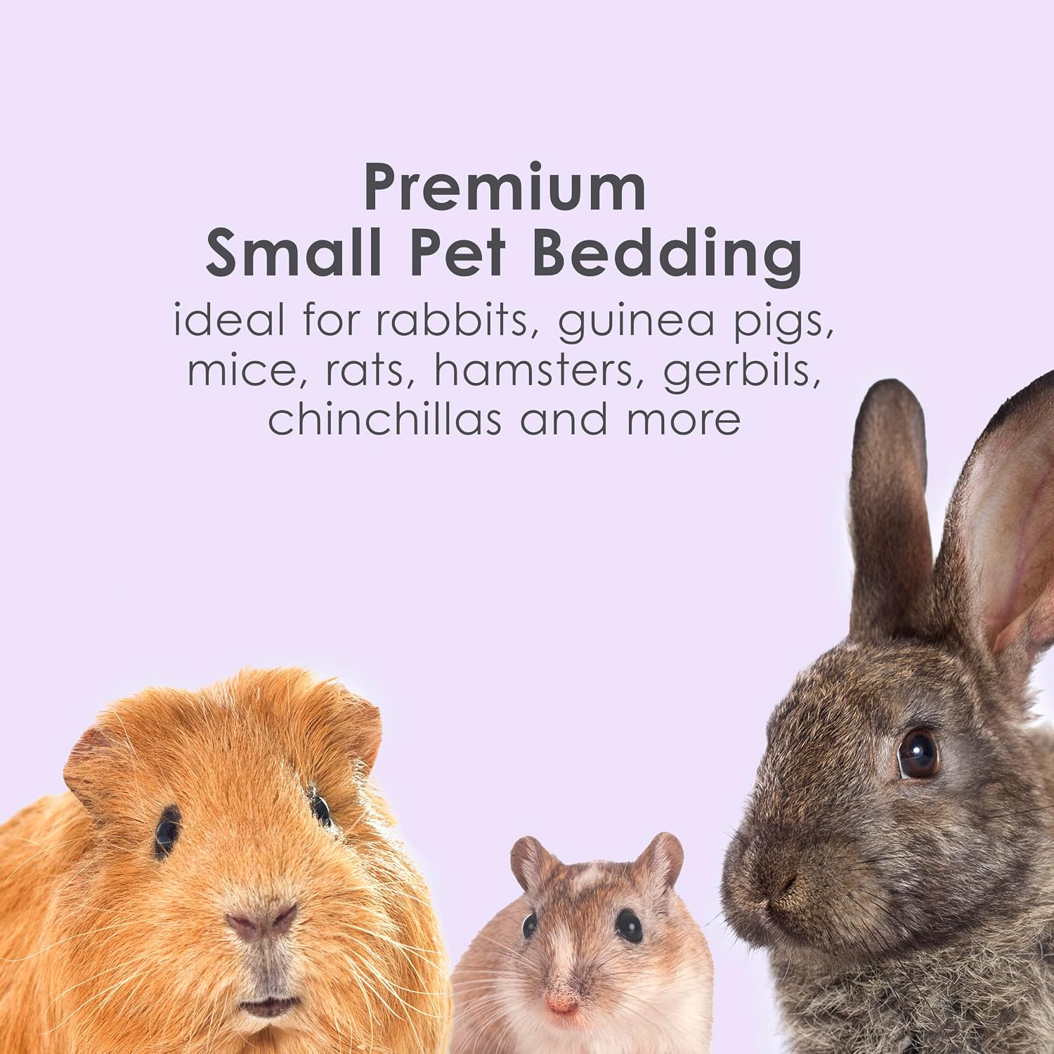 Clean & Cozy Lavender Paper Bedding for Guinea Pigs, 49.2 Liters | Fresher habitats with rabbit bedding. Hamster