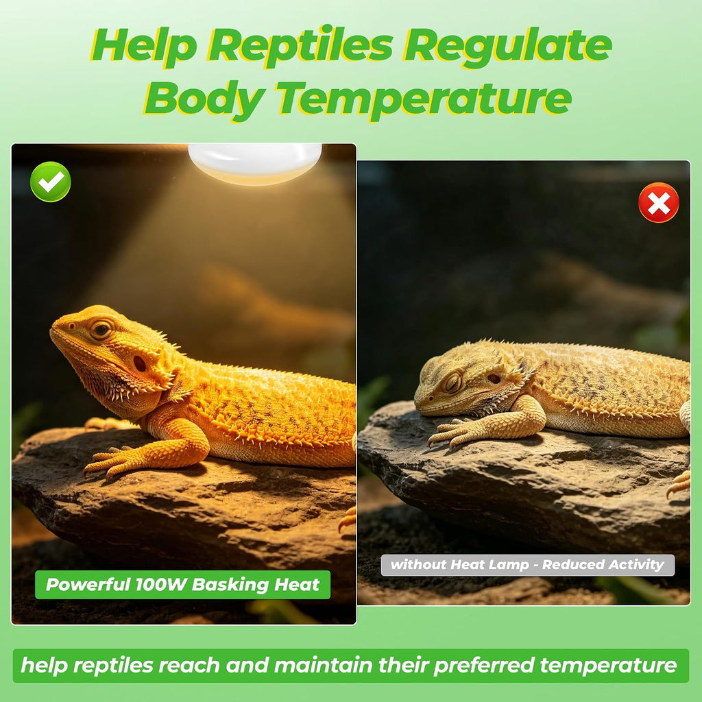 Reptile Heat Lamp Bulbs 100W, UVA Daylight Basking Bulbs 2 Pack | Fast Heating, Simulates Natural Sunlight, Ideal for