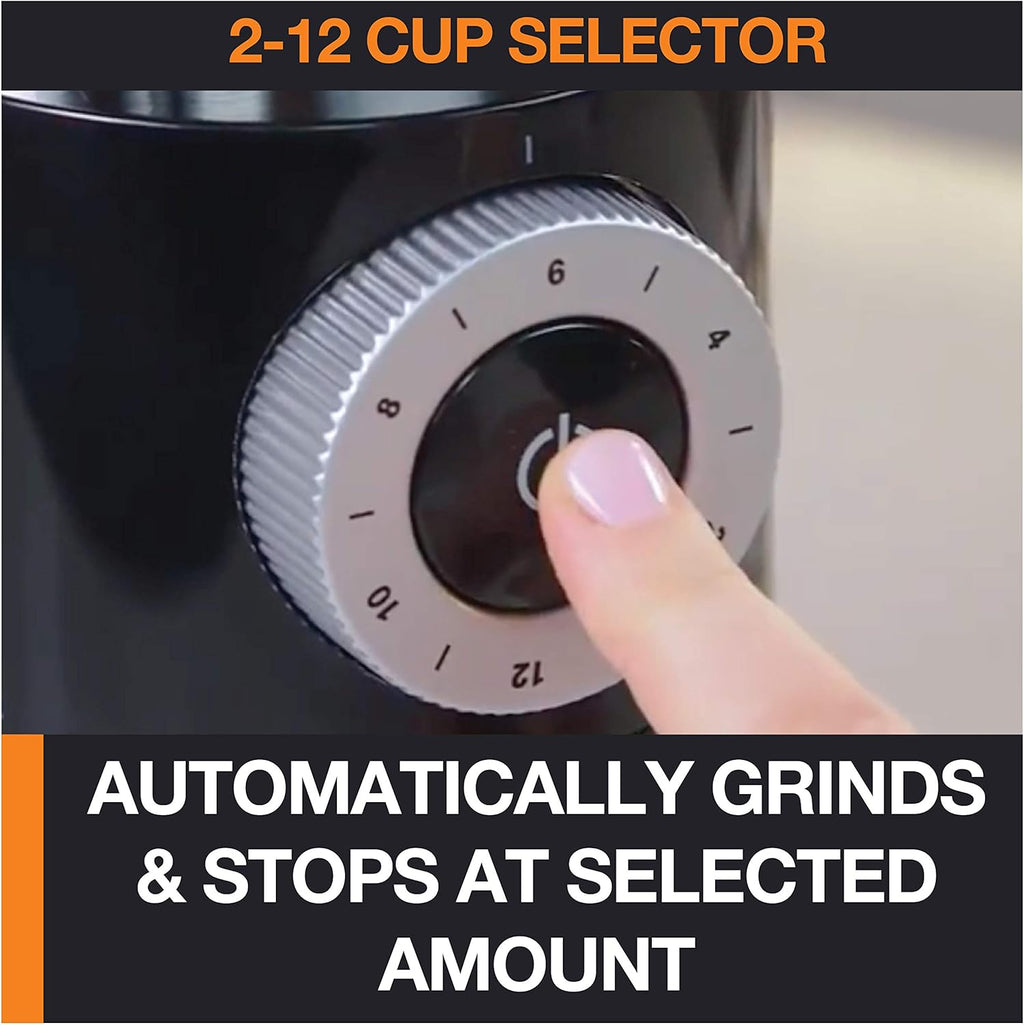 Precision Burr Coffee Grinder: 12 Settings, 8 oz Capacity for Drip, French Press, Espresso, Pour Over, Cold Brew
