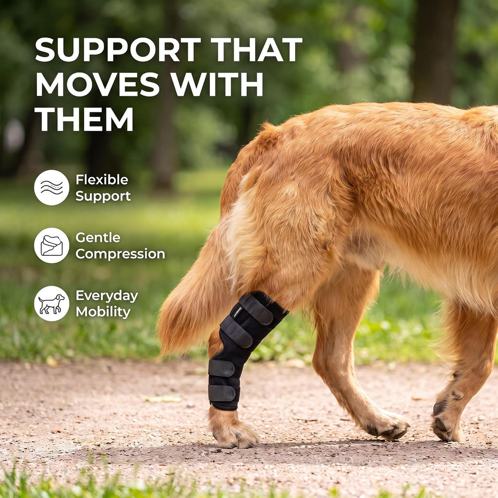 Dog Knee Brace for Hind Leg, Dog Hock Brace for Back Leg Support, Adjustable ACL CCL Brace for Dogs, Rear Leg Support