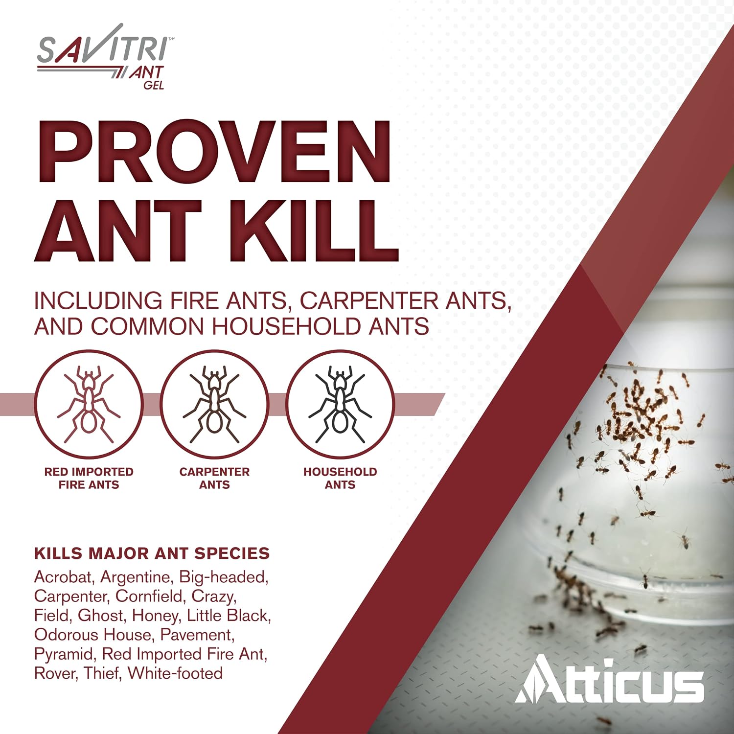 Savitri Ant Gel Bait (4 x 30 Grams) - Indoor and Outdoor Ant Killer