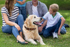 Genuine Leather Dog Collar, Heavy Duty Dog Collar with Sturdy Metal Buckle, Thick Collar for Walking, Hiking