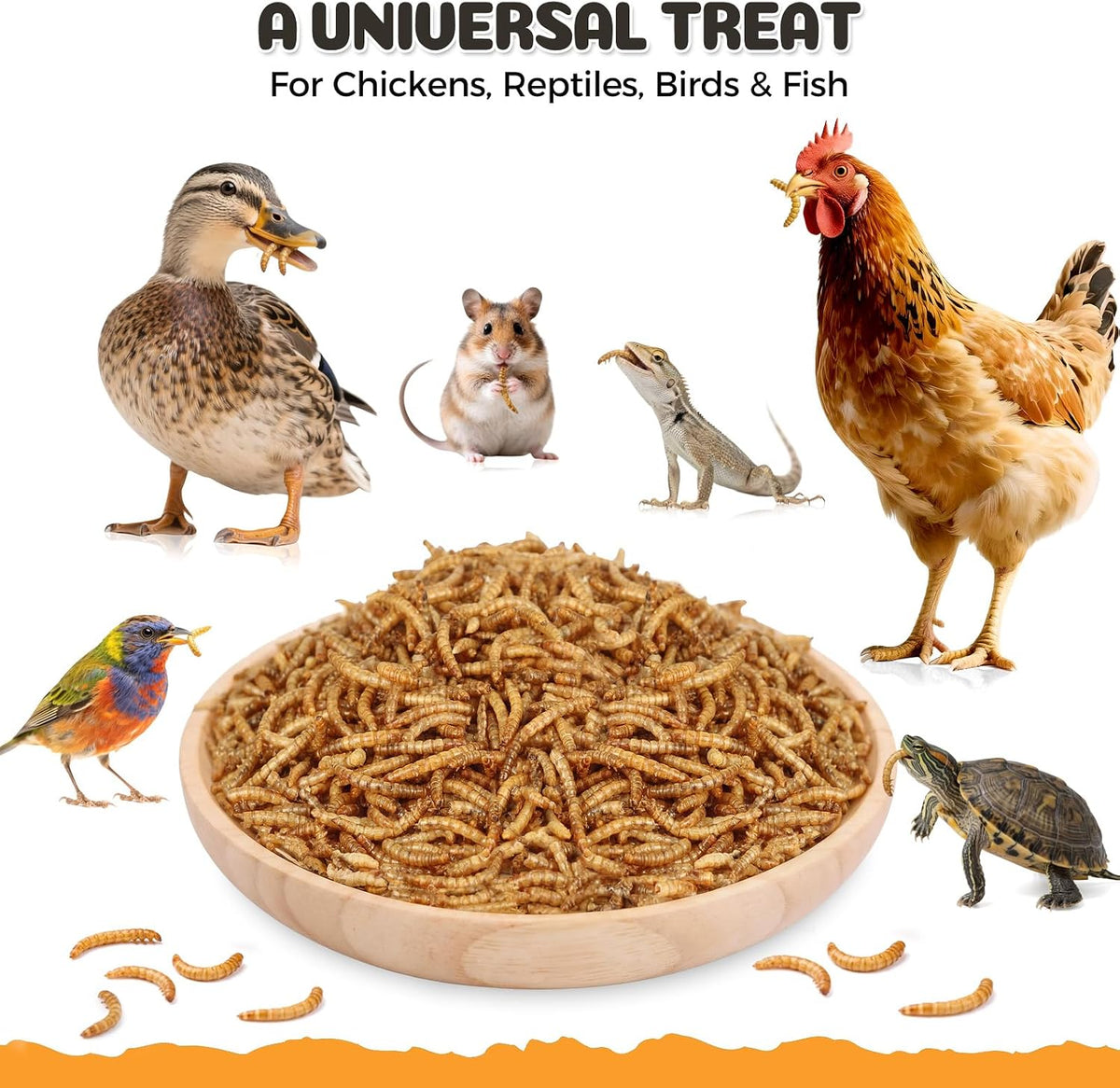 Dried Mealworms 10LB, High-Protein Poultry Treats & Wild Bird Food