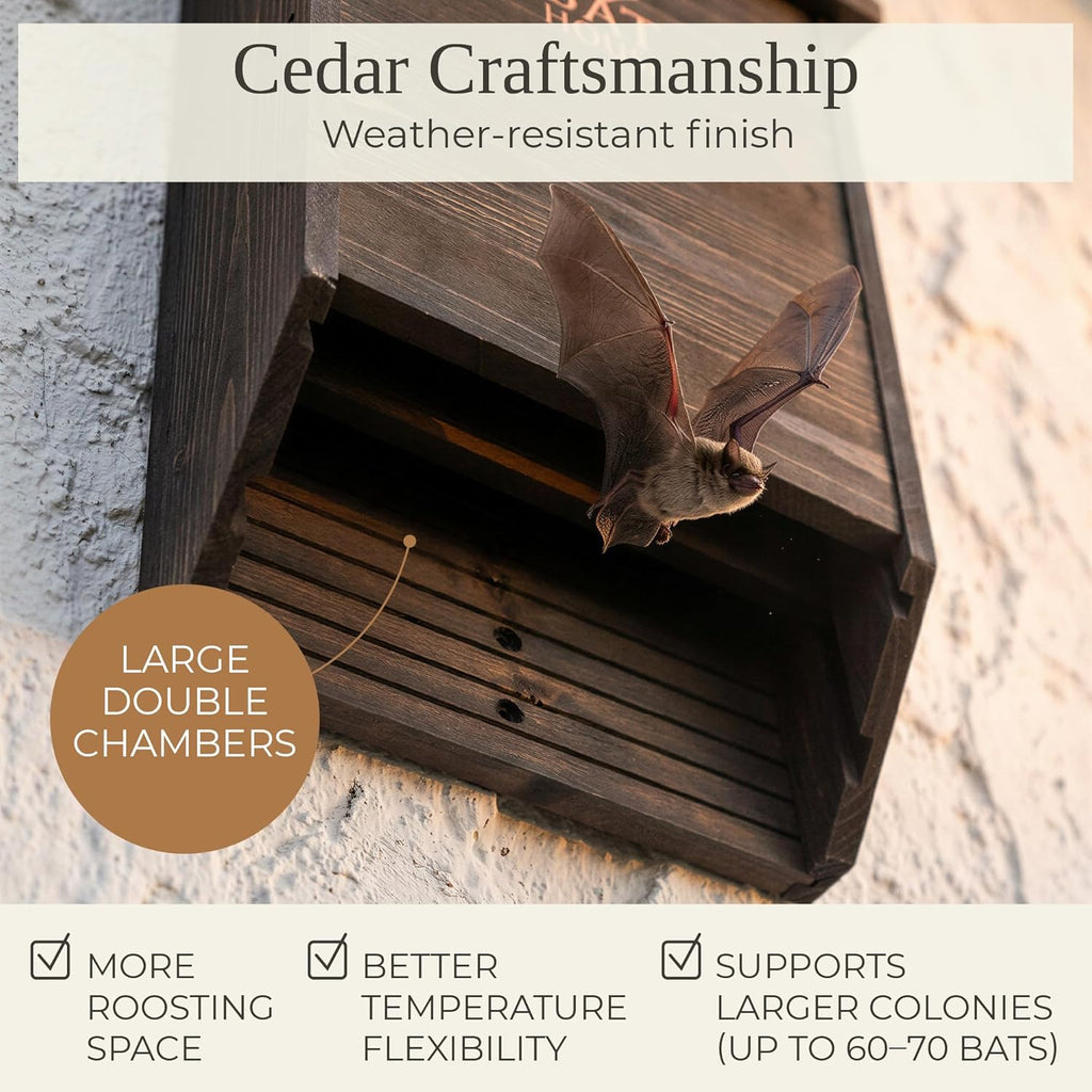 The Ultimate Wooden Bat House for Outdoors - Large Double Chamber Box