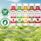 240 Pack Lip Balm Bulk, 12 Flavor, Value Pack