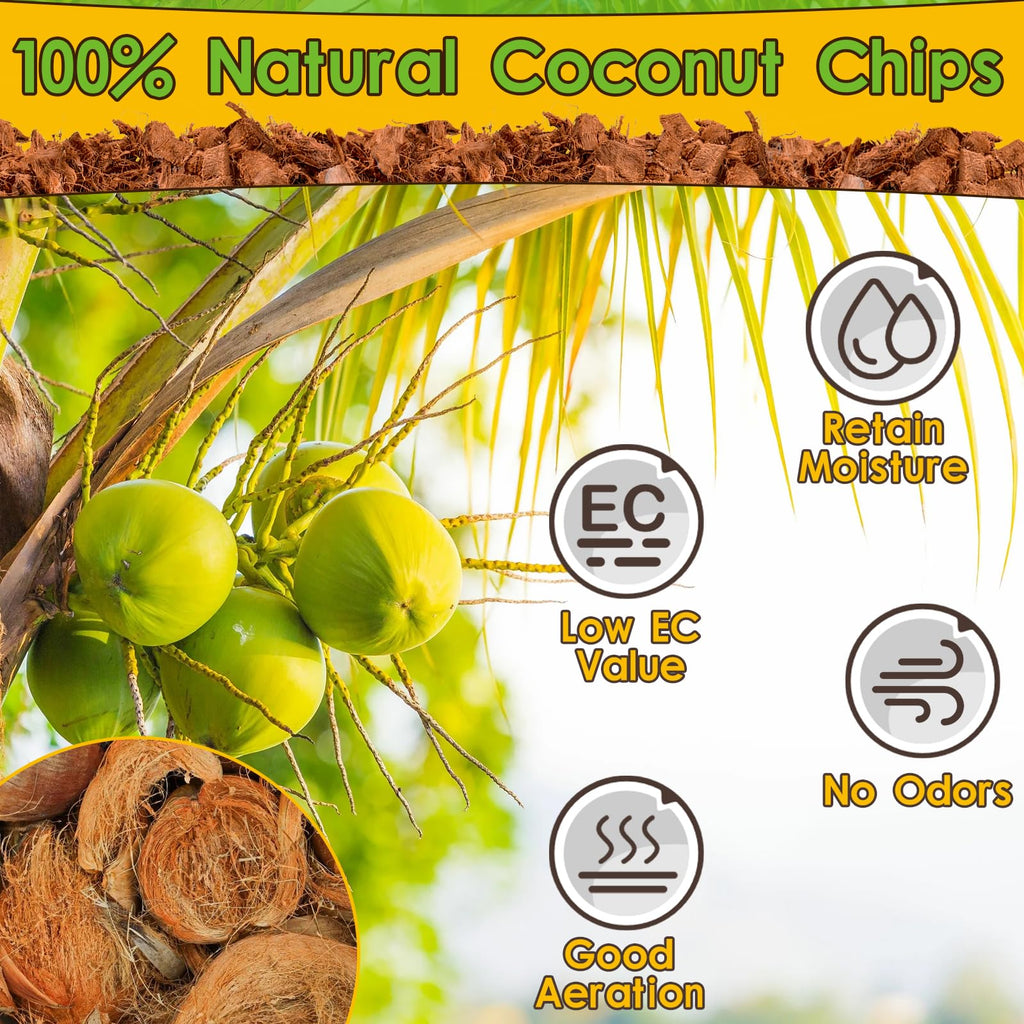 Organic 10LB Coconut Husk for Reptiles