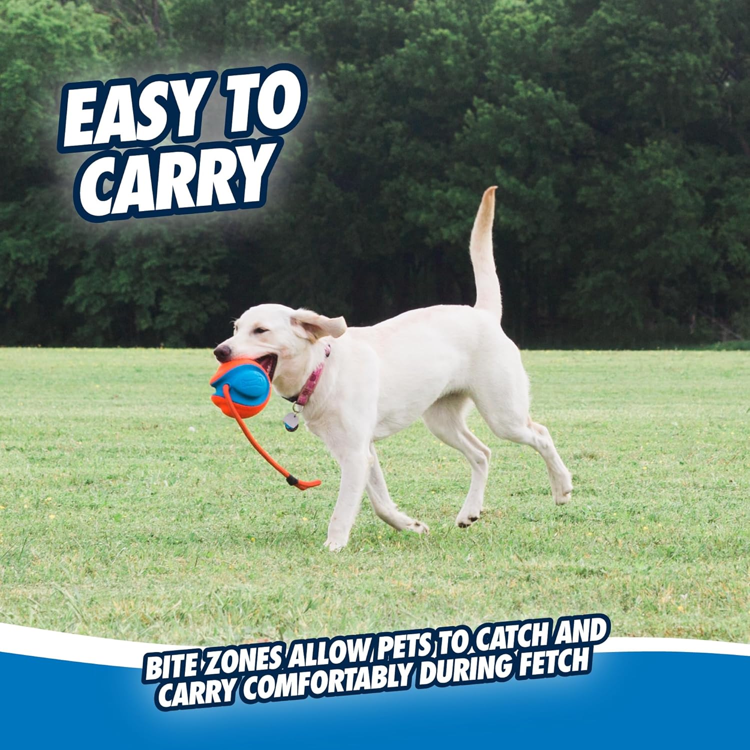 Rope Fetch Dog Toy - Ball on Rope Fetch and Tug-of-War Toy for Dogs - Durable EVA Rubber Construction - 5.5-inch