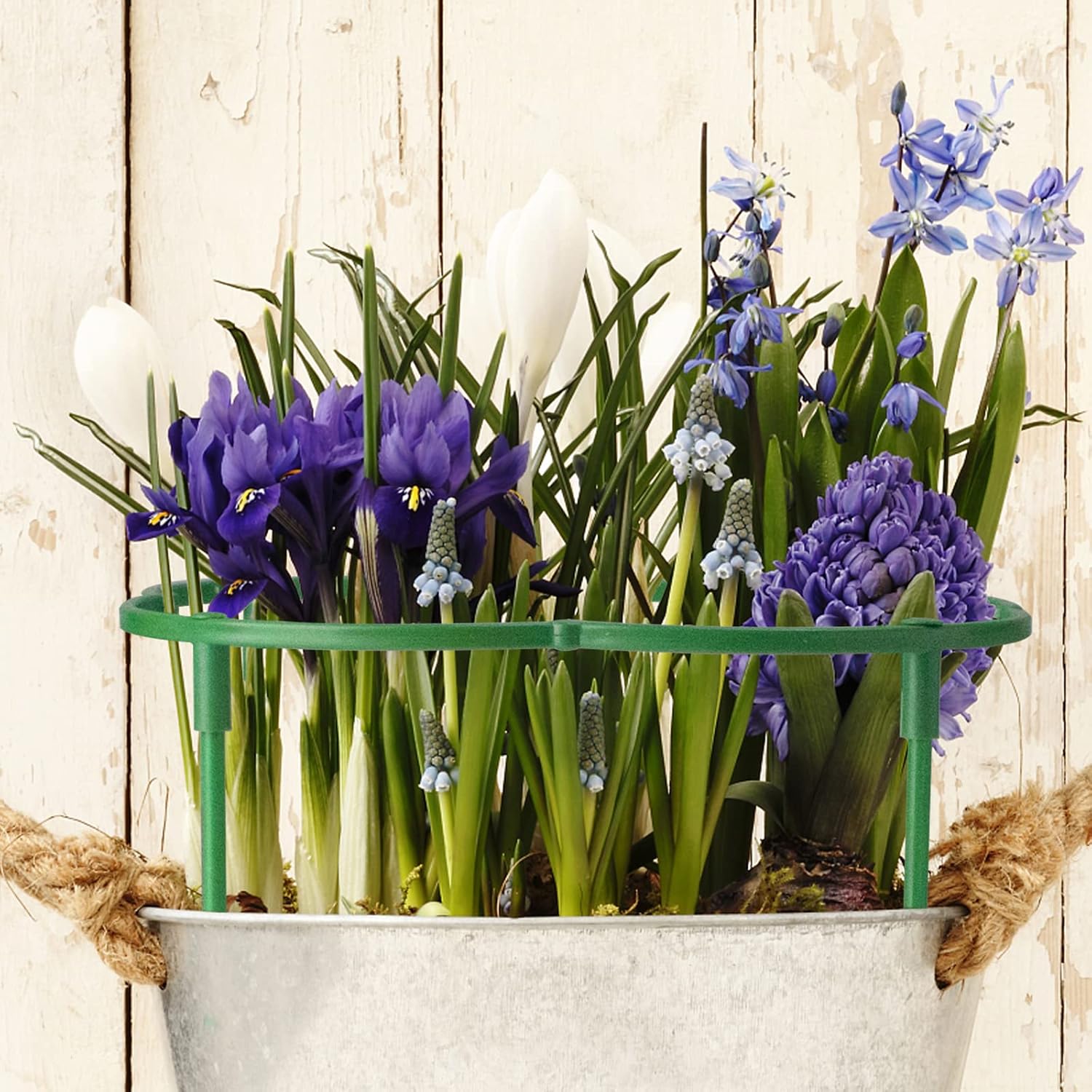 12Packs Plant Support Stakes Half Round Plant Stakes for Indoor Plants, Stackable 3 Tier Garden Flower Support, Plant