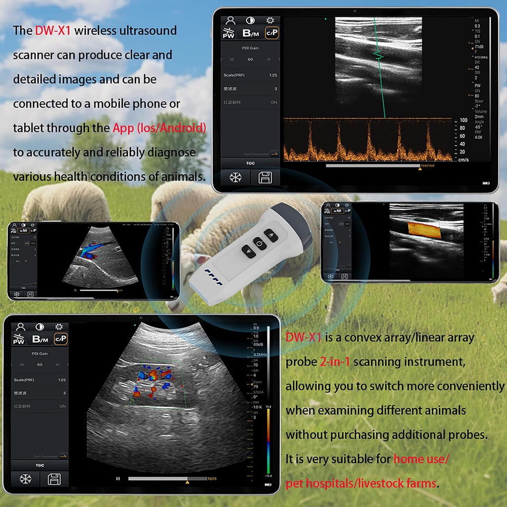 Dual Probe Veterinary Color Doppler Ultrasound Machine, Wireless Handheld Scanner for Pregnancy & Organ Exam in Dog