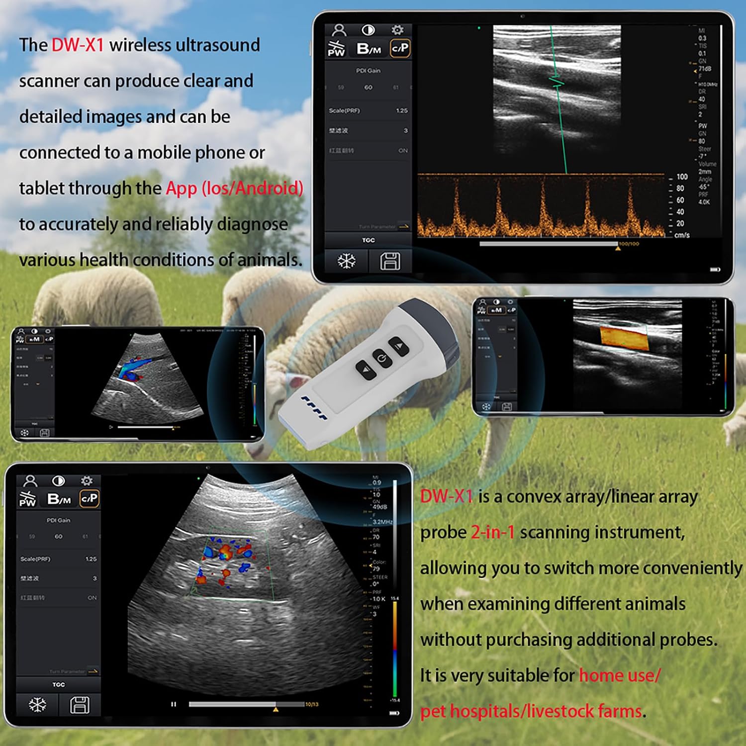 Dual Probe Veterinary Color Doppler Ultrasound Machine, Wireless Handheld Scanner for Pregnancy & Organ Exam in Dog