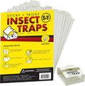 Insect Traps for Pest Control, 30 Pack | Glue Traps for Brown Recluse, Hobo Spiders, Black Widows, Home, Basement or