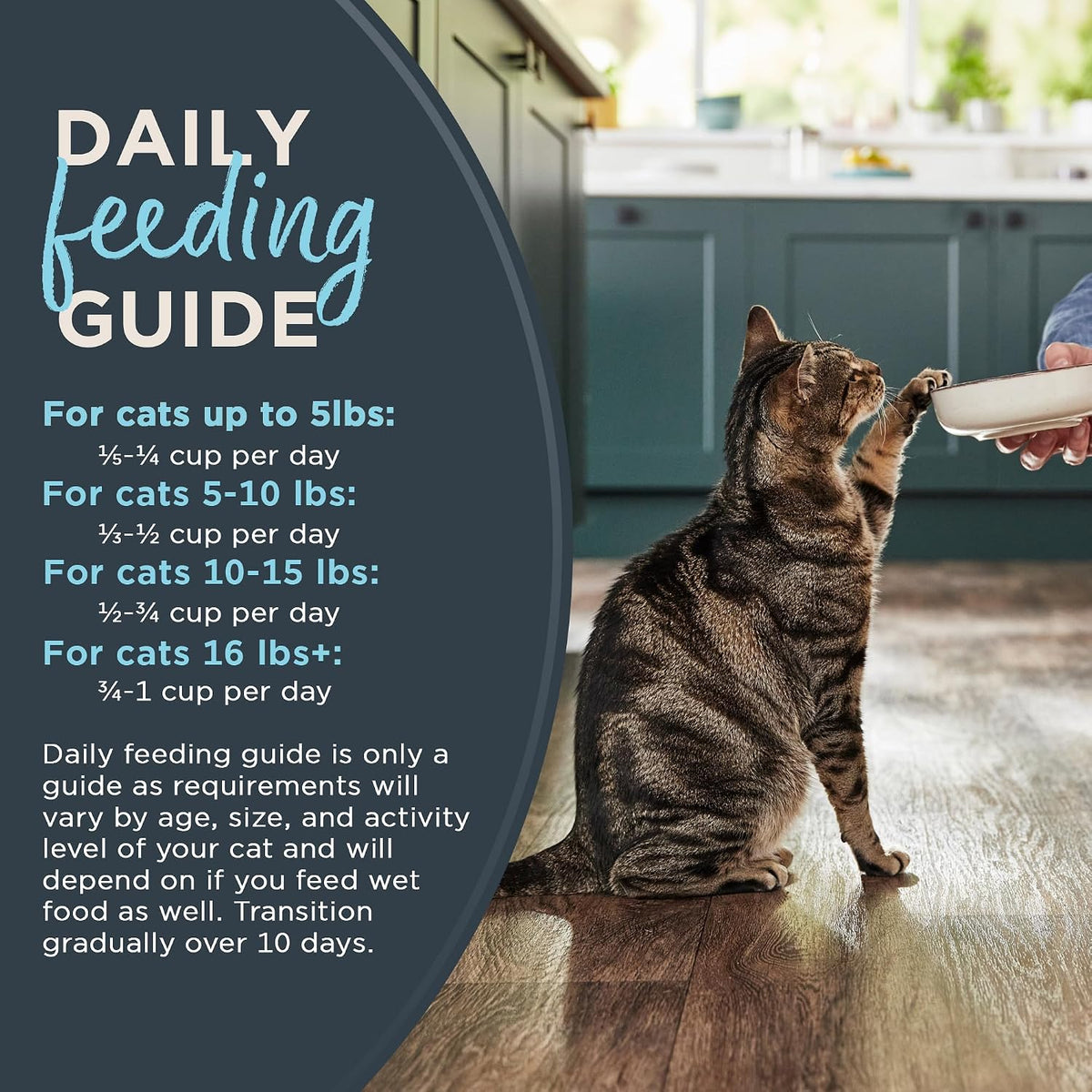 Whitefish Grain Free Complete Dry Cat Food 3 lb Bag