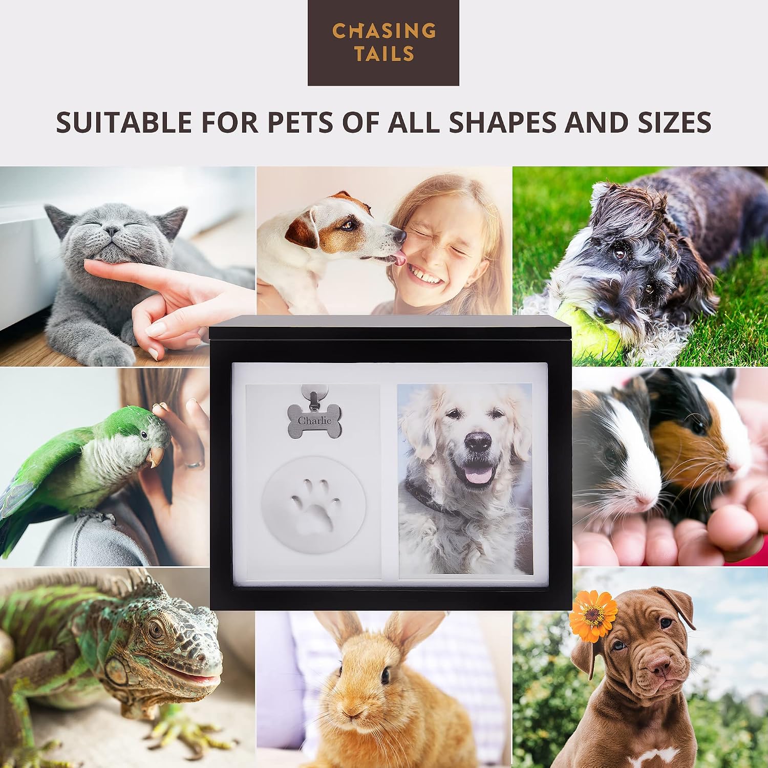 Large Dog Urn for Ashes | Pet Memorial Keepsake Photo Box