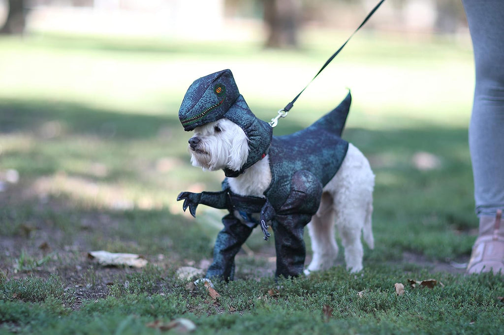 Calico, Pupasaurus Rex Dog Costume Large