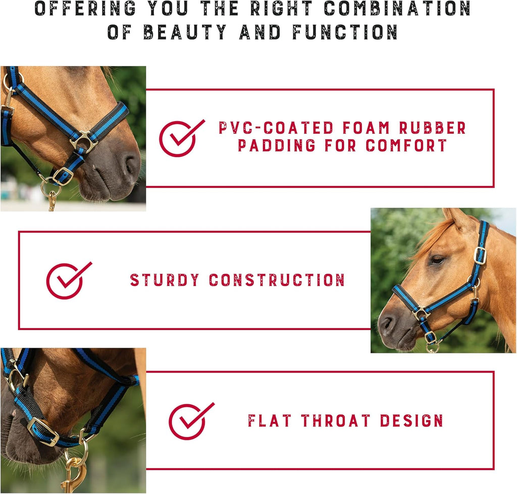 Nylon Horse Halter, Average Horse, Padded & Adjustable, 1 in