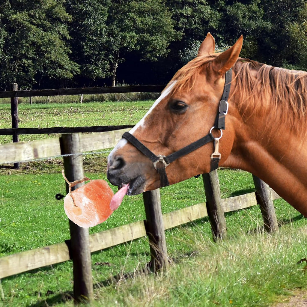 Animal Salt Lick Block on Rope for Horses,Deer,Cattle,Sheep Livestock Natural Organic Mineral Intake Long Lasting