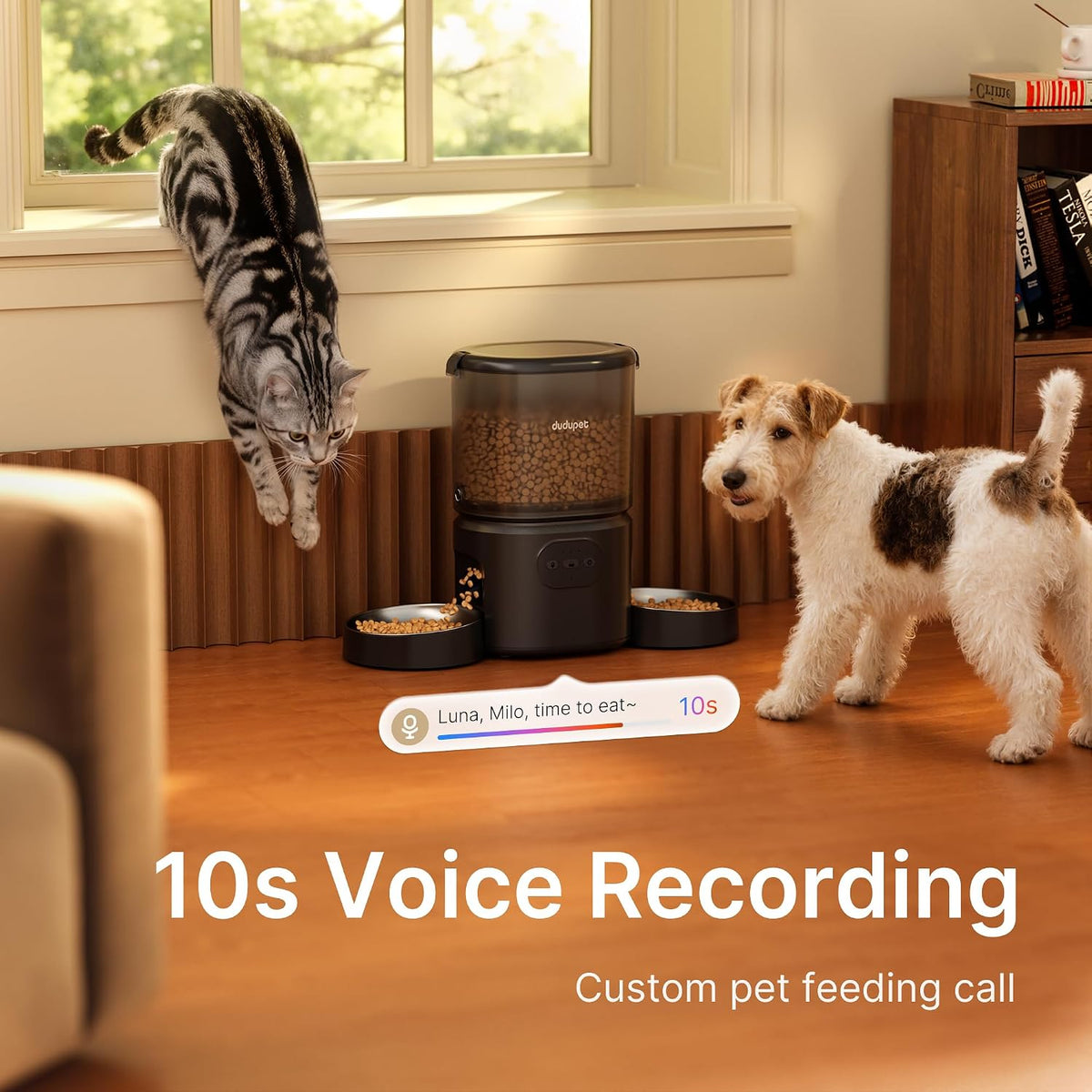 Automatic Cat Feeder for 2 Cats, Dual Cat Feeder with 5G WiFi APP
