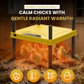 Chick Brooder Box and Heating Plate Starter Kit – Large Indoor Brooder Pen with 75W Adjustable Heat Plate, Feeder