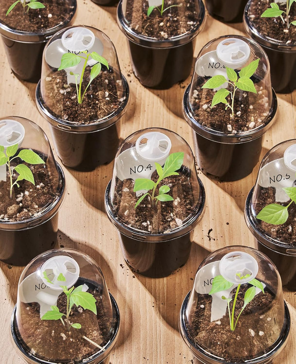 3 Inch Nursery Pots with Humidity Domes for Seed Starting (30 Pcs) | Raised bases improve airflow and drainage, while