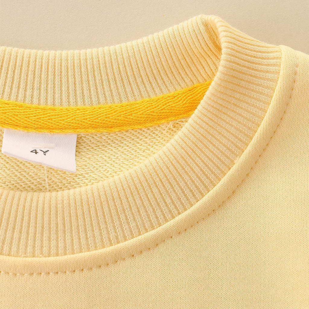 Toddler Girl Sweatshirt Clothes Outfit,Cotton Crewneck Clothing