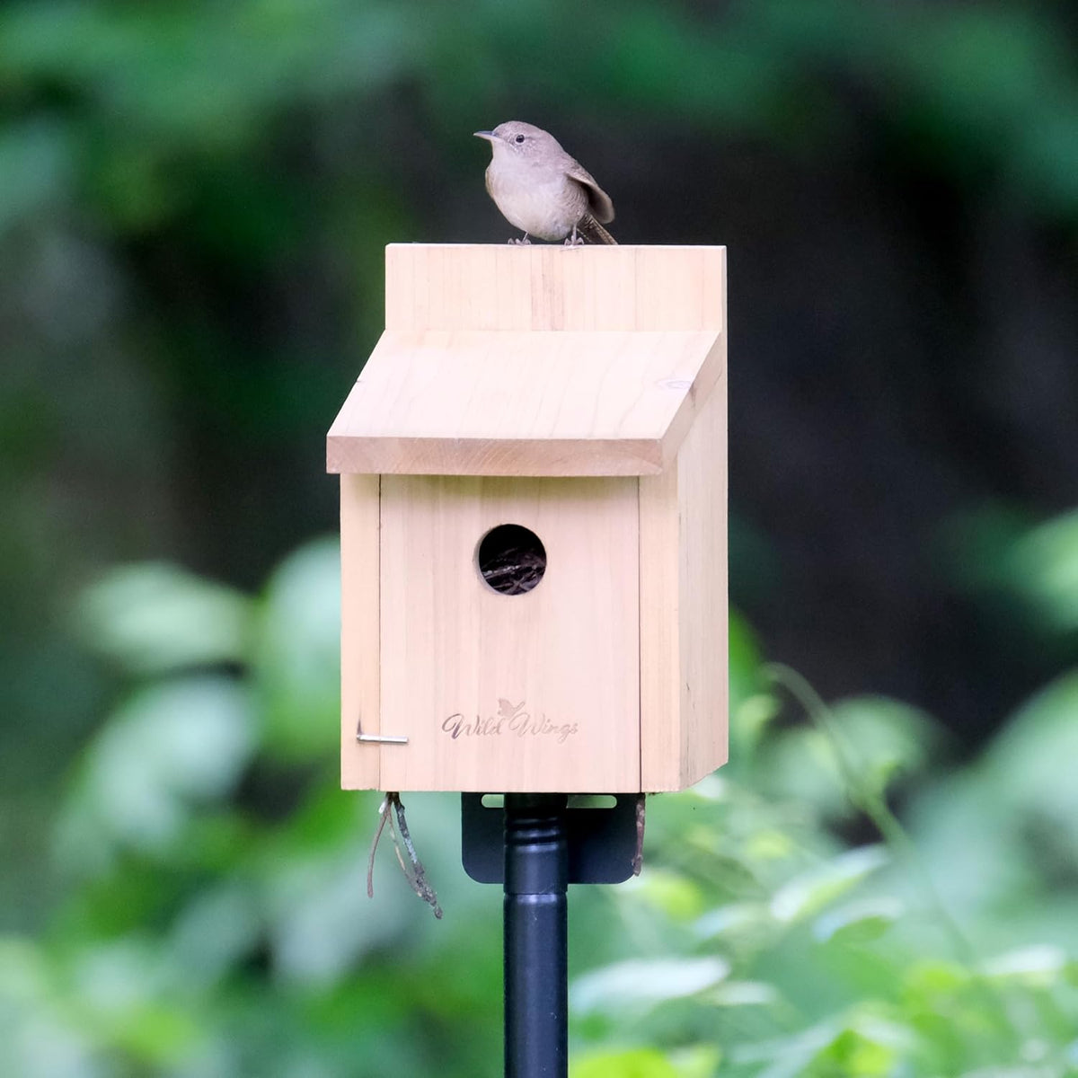 Nature's Way Cedar Box Wren House with Clean-Out Door, Wild Bird House and Outdoor Décor, Brown