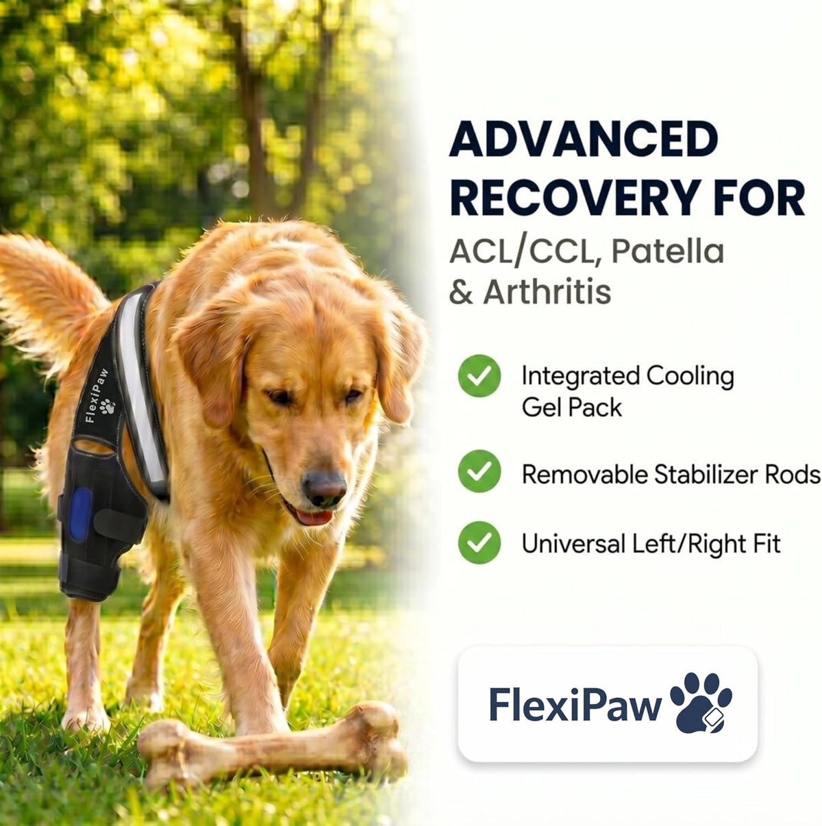 Dog Knee Brace for Torn ACL and CCL, Rear Hind Leg Brace for Dogs, Back Leg Support for Cruciate Ligament Tears, Cold