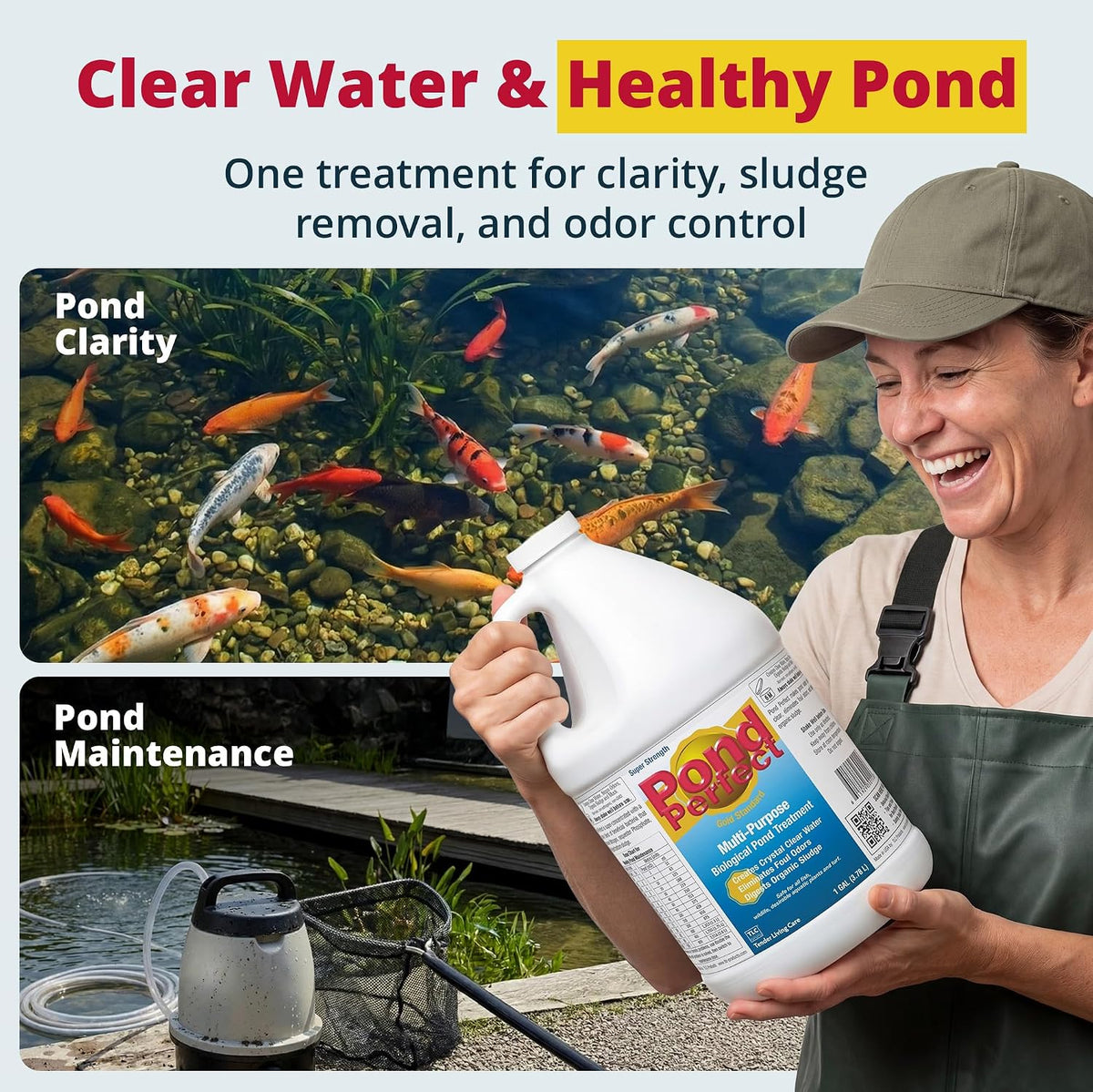 PondPerfect Pond Bacteria - Natural Treatment for Ponds - Safe for Fish