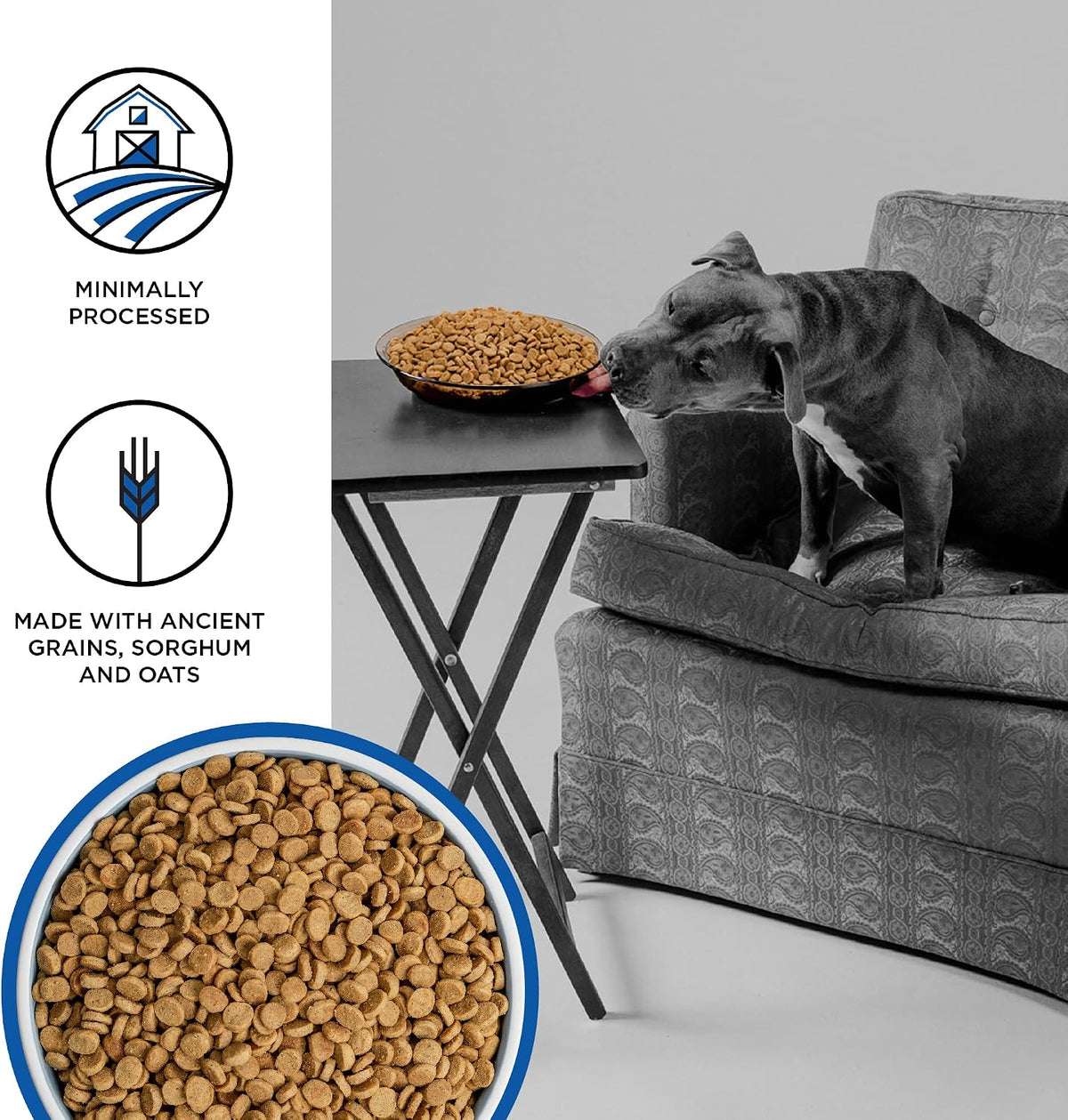 Liberty Ancient Grains Dry Dog Food, Game Bird Feast Recipe – Fresh Meat, High Protein, Wholesome Grains – USA Made