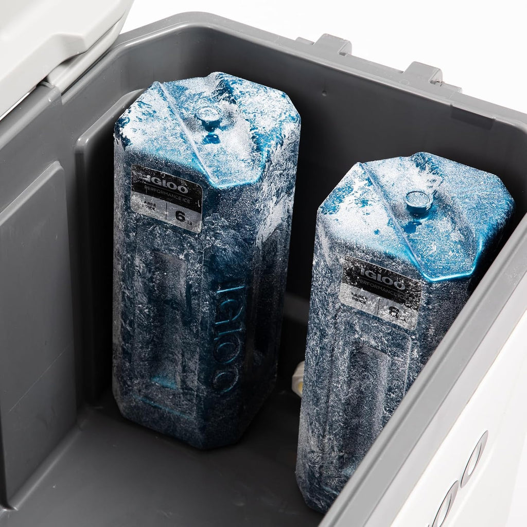 Igloo Performance Ice Blocks, Reusable Freezer Ice Packs for Coolers
