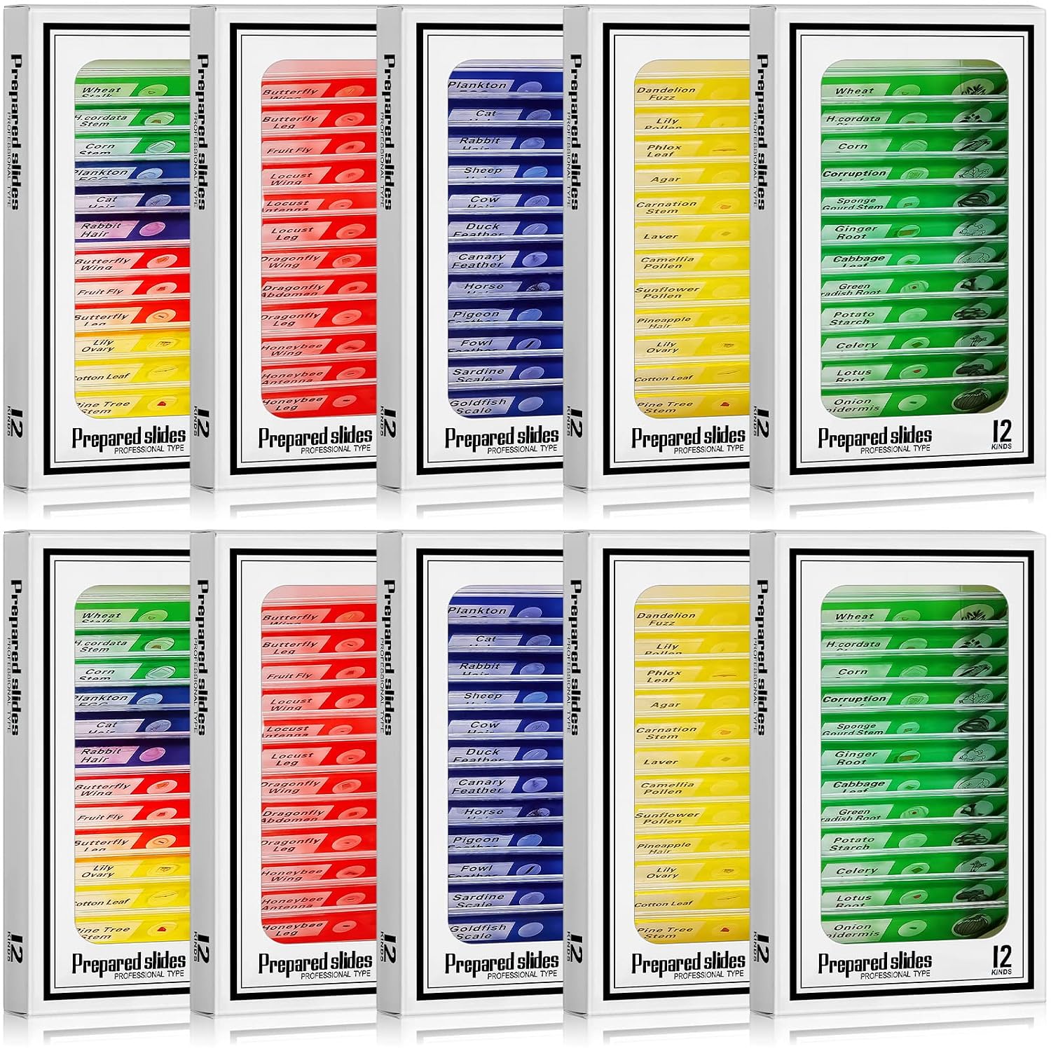 120 Pcs Prepared Microscope Slides, 48 Different Patterns Animals Plants Insects Specimens for Kids, Students Biology