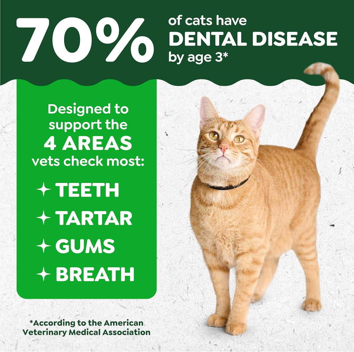 Feline Natural Dental Cat Treats, Catnip Flavor, 21 oz