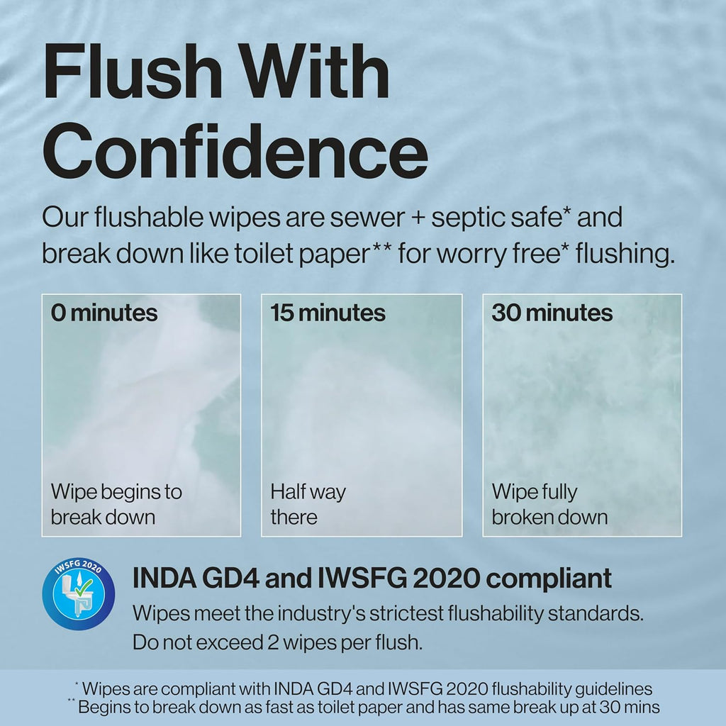 Flushable Wipes, Hypoallergenic, Gilded Wings, 126 Count