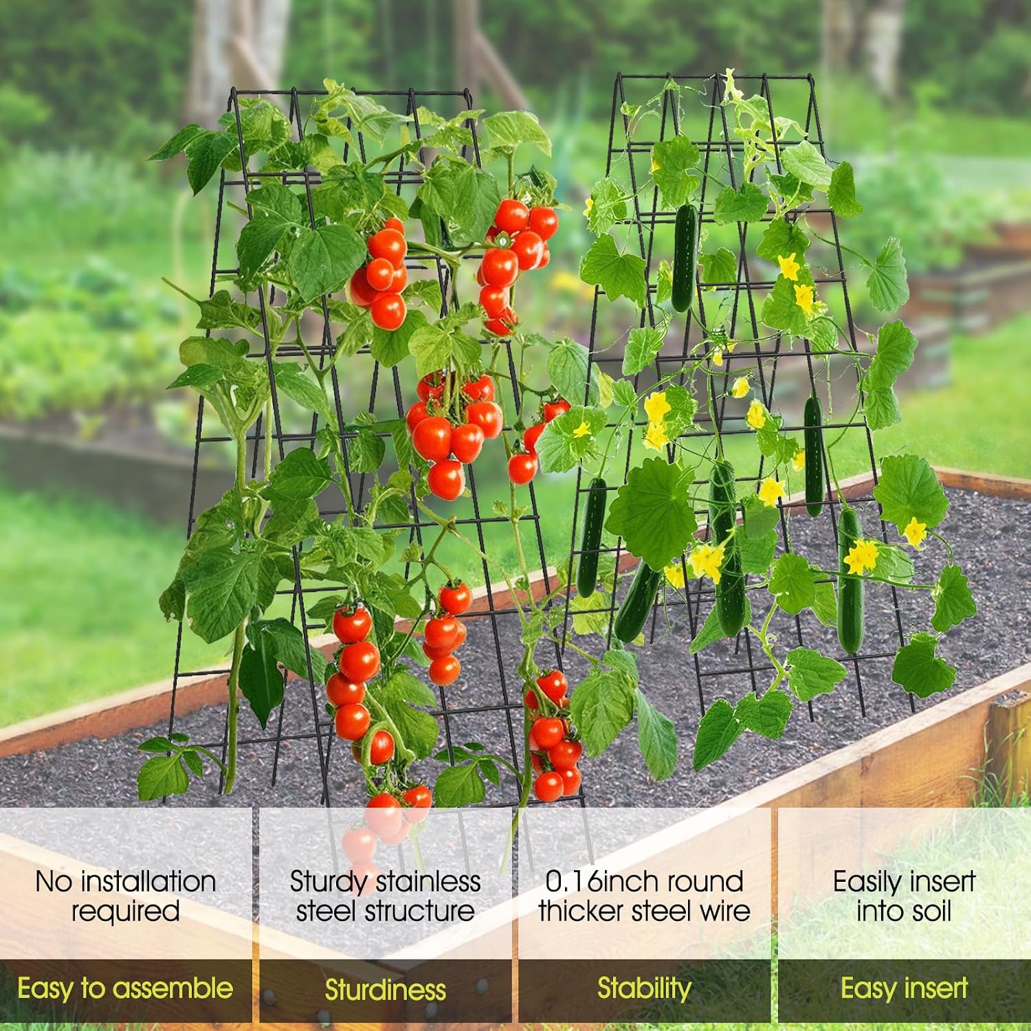 Cucumber Trellis for Raised Bed, Garden Trellis 16.5 x 60 Inch, Black | 2 PCS Metal Trellis for Climbing Plants