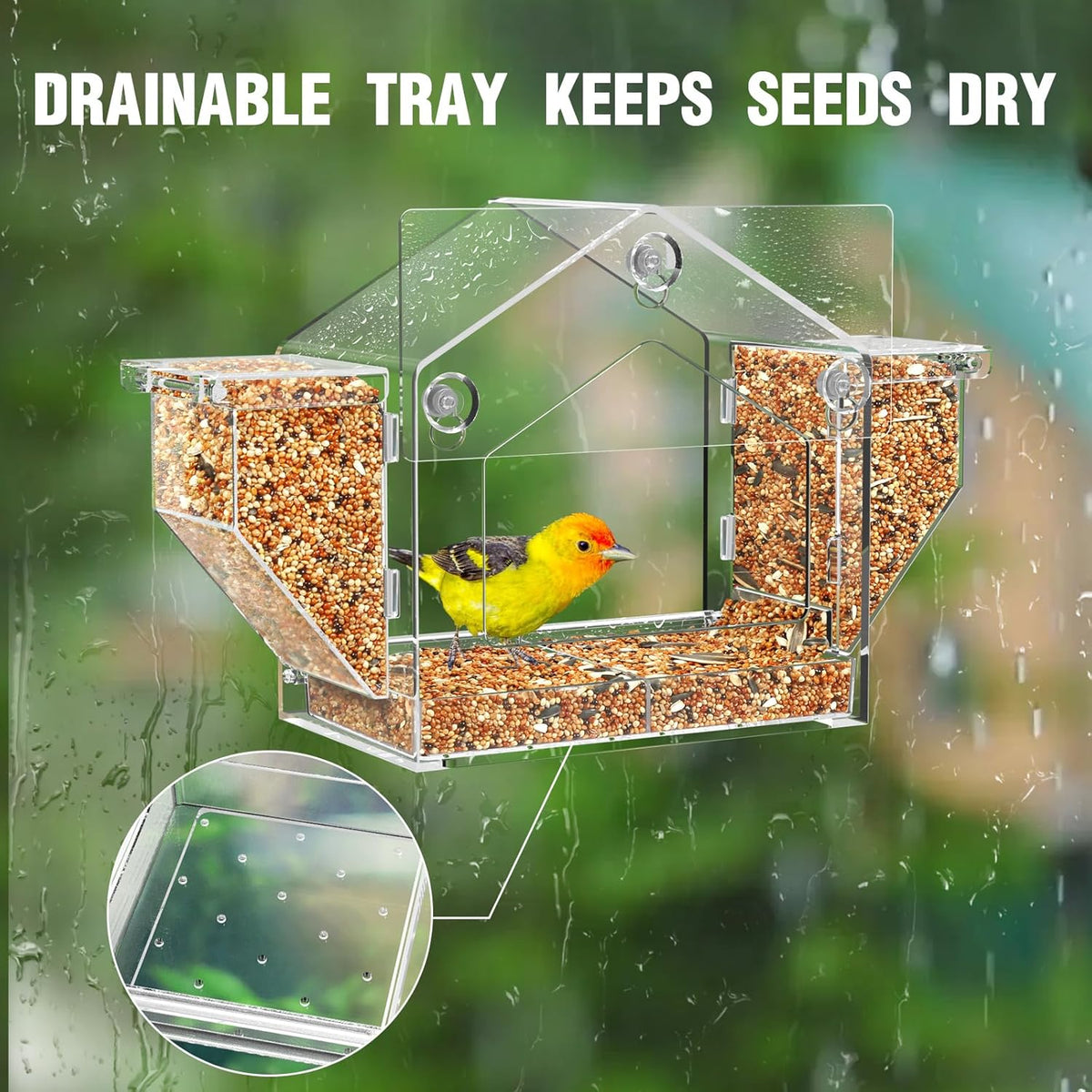 Window Bird Feeder with Dual Side Storage, Strong Suction Cups and Adhesive