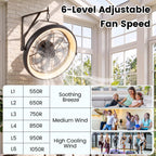20" Wall Mounted Fan with Dimmable LED Light, 6 Wind Speeds & Timer
