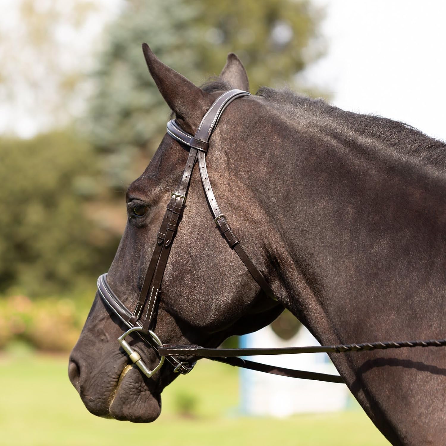 Saga Adjustable Padded Fancy Stitched Hunter Bridle with Reins