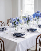 350 Pcs Blue Silver Plates for Graduation